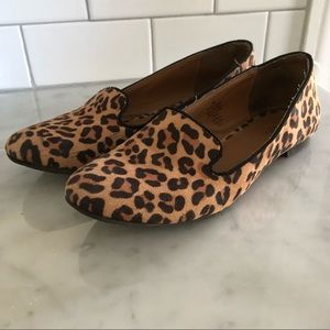 Cheetah Flats